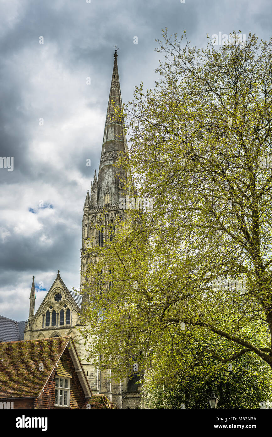 Salisbury Cathedral spire, shot through trees Stock Photo