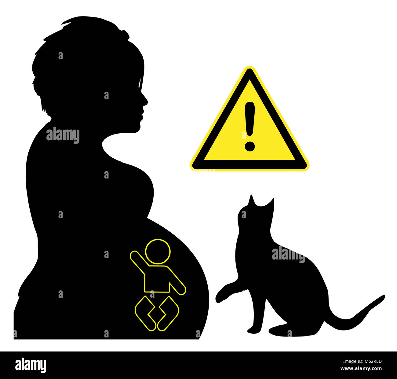 The parasites are getting transmitted by cats and can cause brain