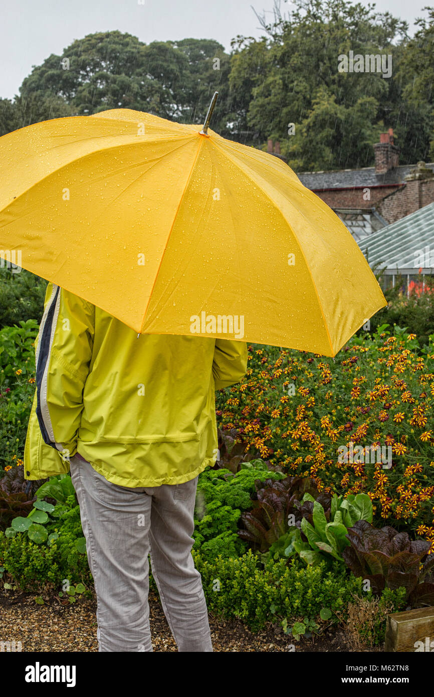 Man with yellow umbrella waits out the rain in a gorgeous garden