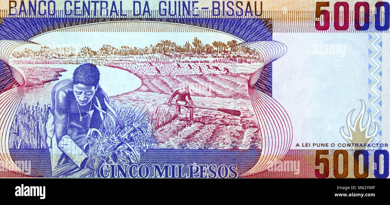 Guinea Bissau Five Thousand 5000 Peso Bank Note Stock Photo