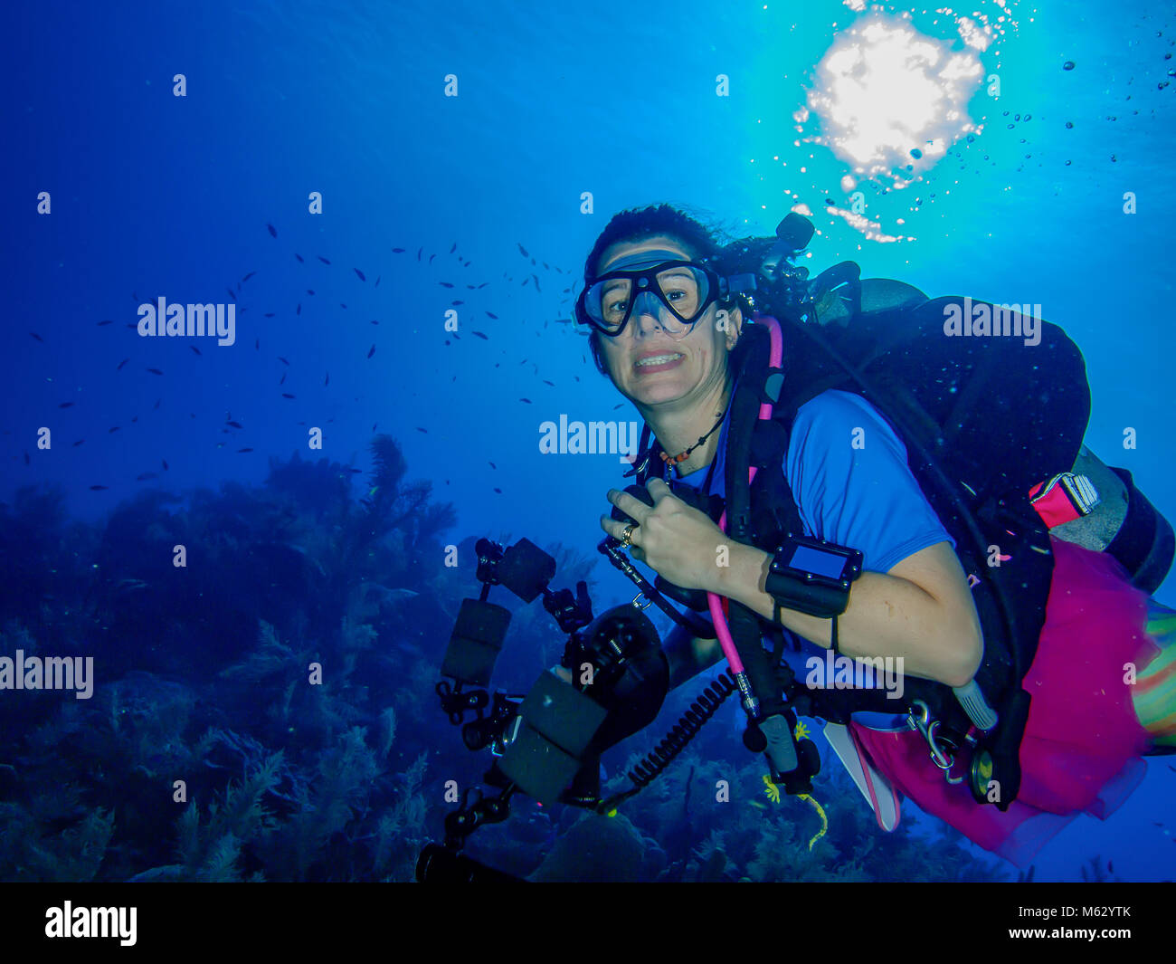 Diving in the north of Primorye. Rudnaya Bay Entry to the bucket. Continuing testing. Fishes Diving in the north of Primorye. Rudnaya Bay Entry to the bucket. Continuing testing. Fishes