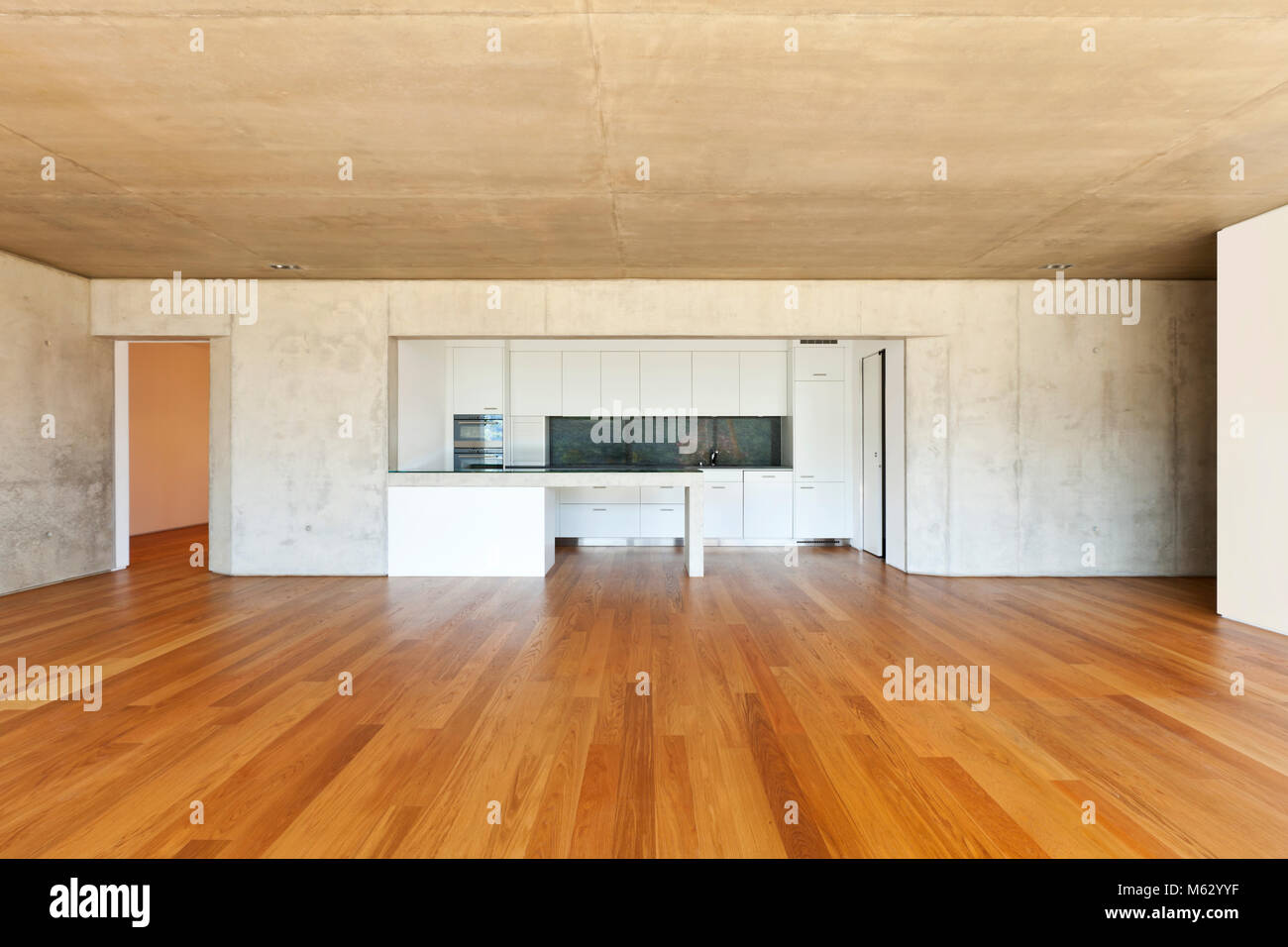 modern concrete house with hardwood floor,  kitchen Stock Photo