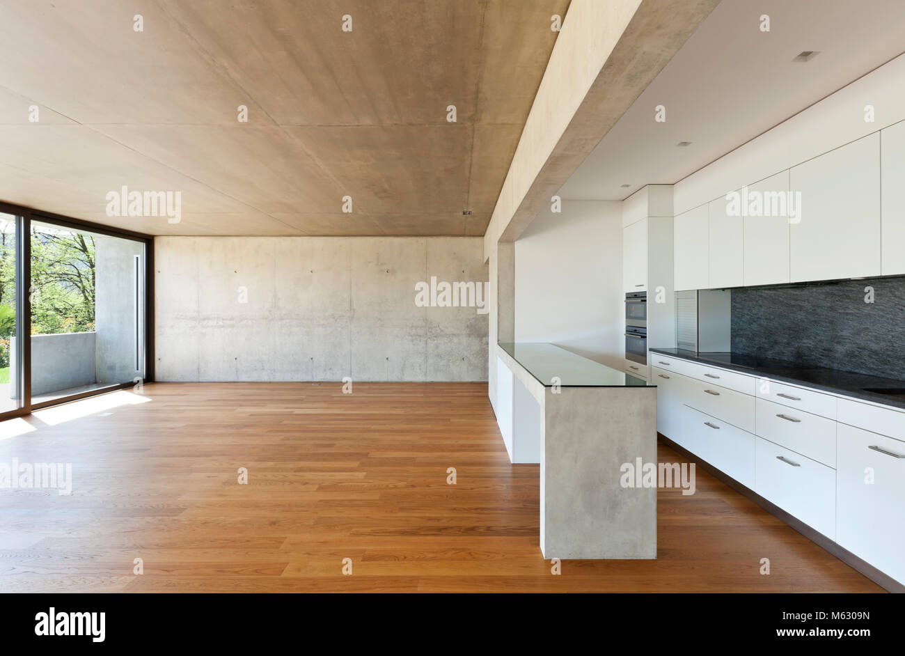 Modern Concrete House With Hardwood Floor Kitchen Stock Photo