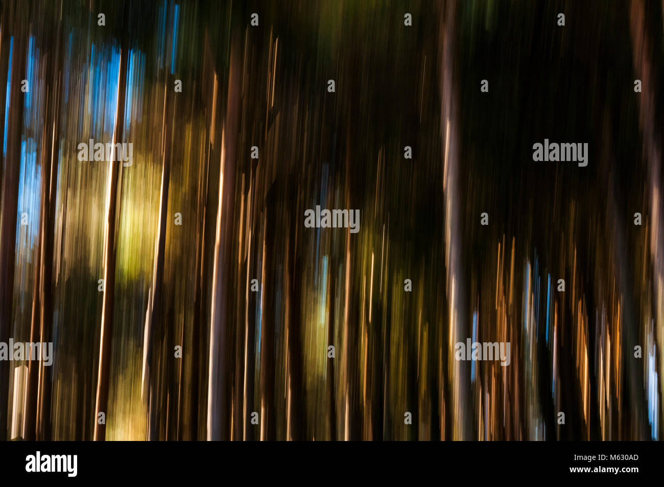 Abstract natural forms hi-res stock photography and images - Alamy