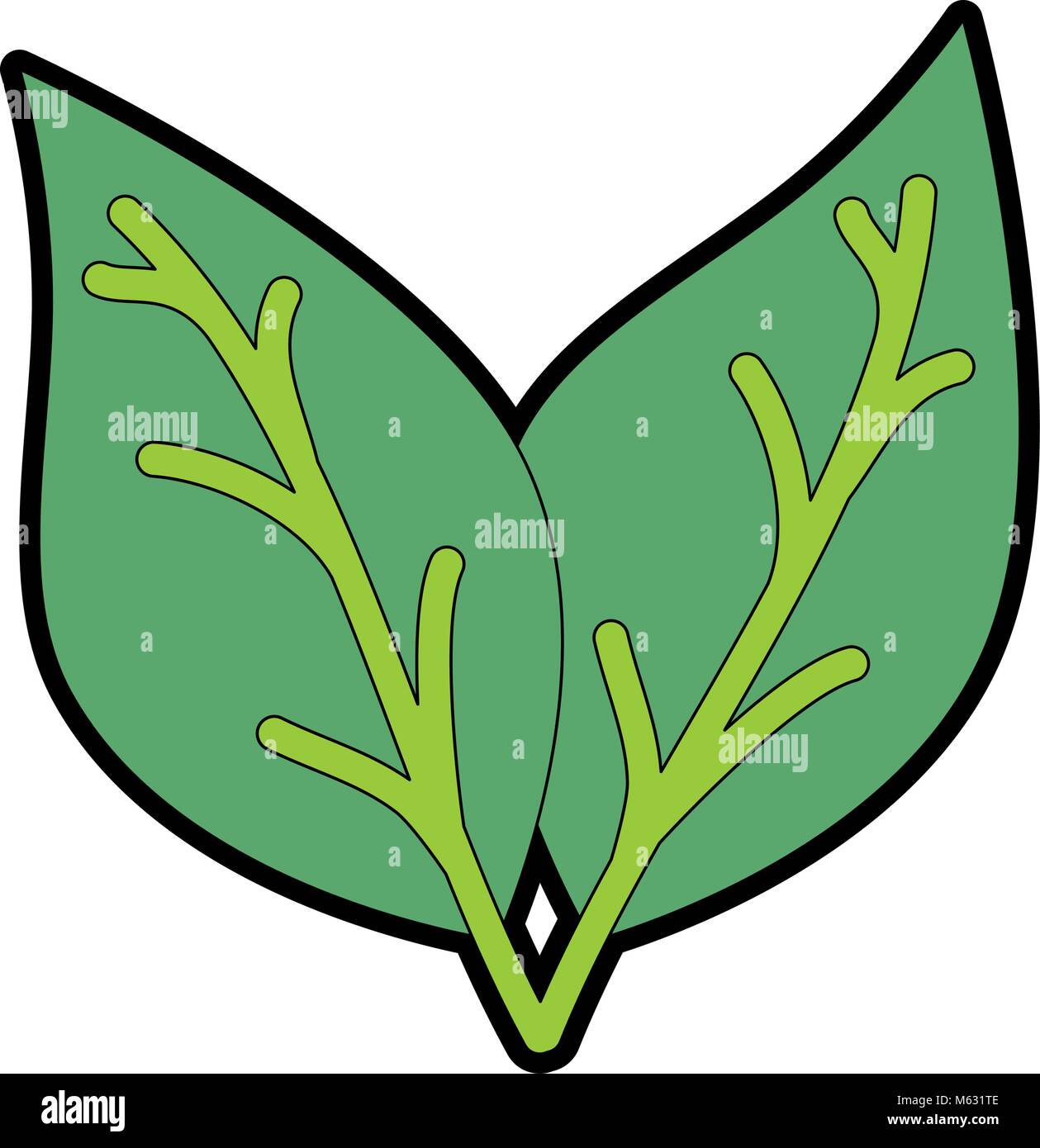 leafs plant isolated icon vector illustration design Stock Vector Image ...