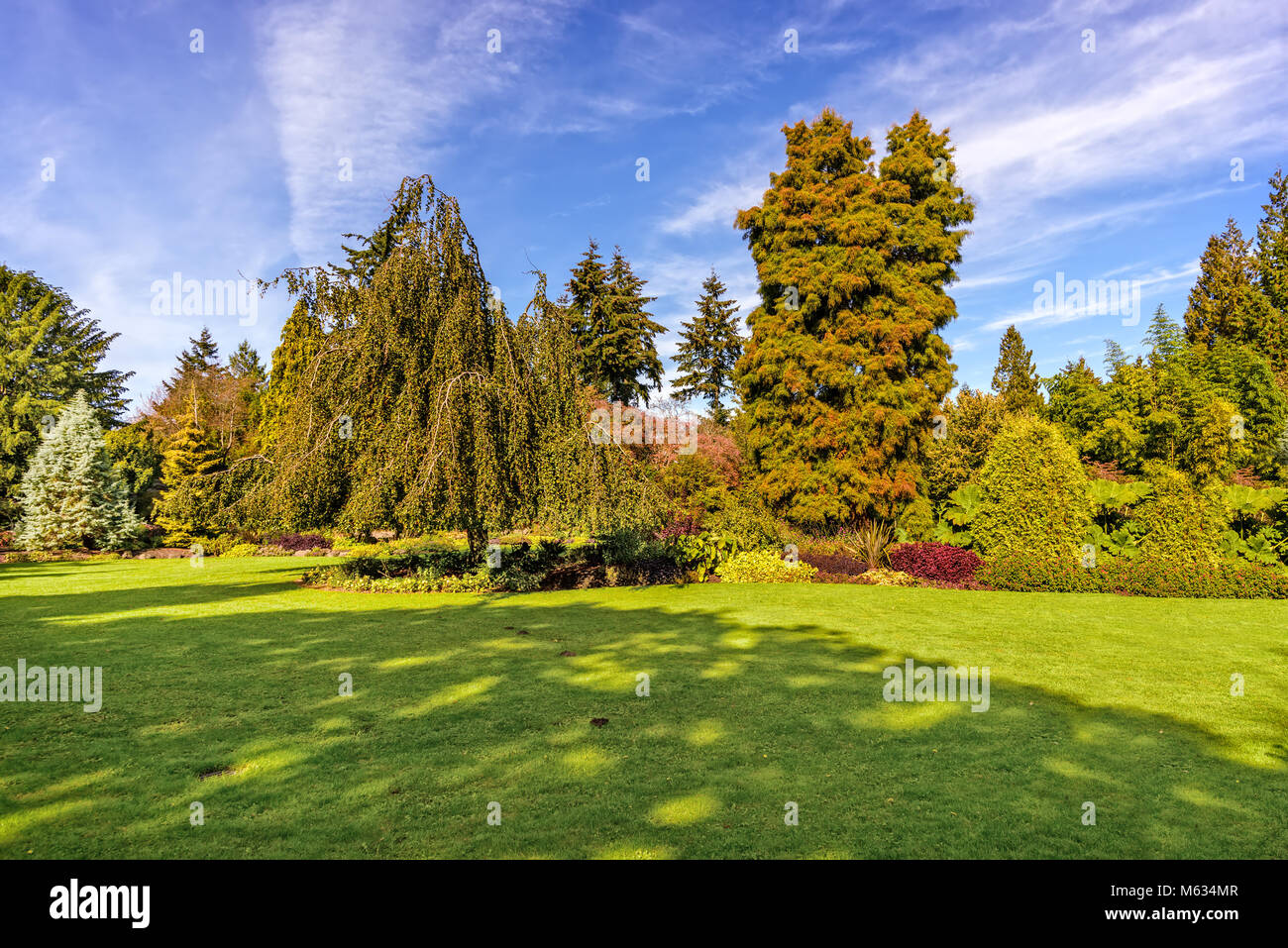 lawn of green grass with various trees and beautiful bushes in the ...
