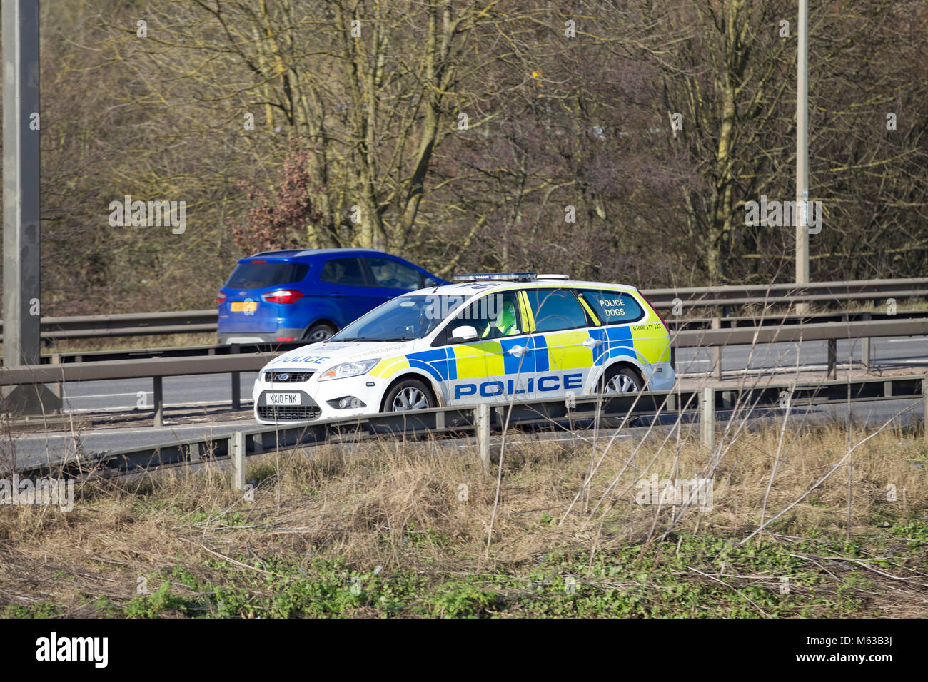 Police dog unit travelling along the A45 on the outskirts of Northampton, U.K. Stock Photo