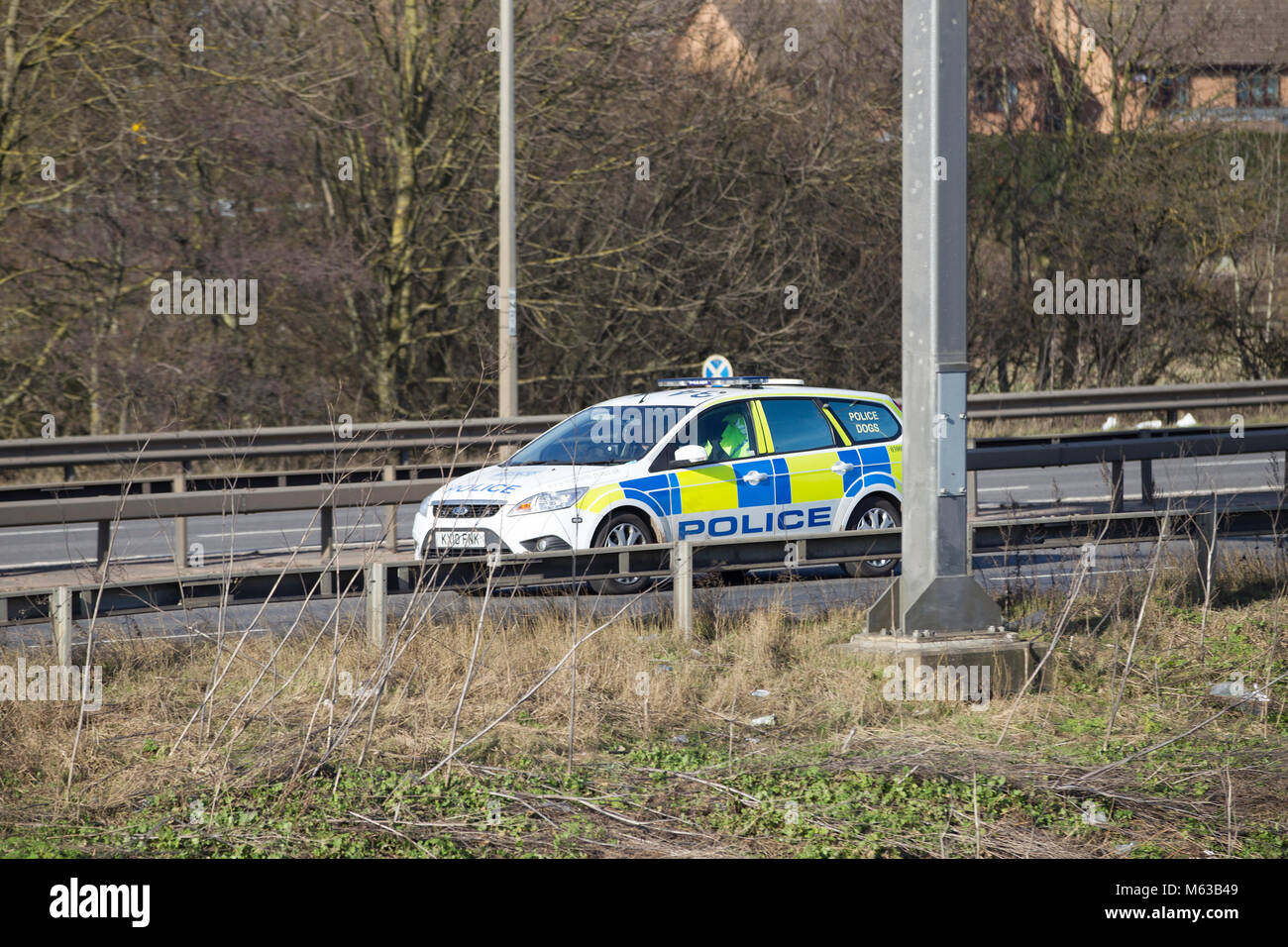 Police dog unit travelling along the A45 on the outskirts of Northampton, U.K. Stock Photo