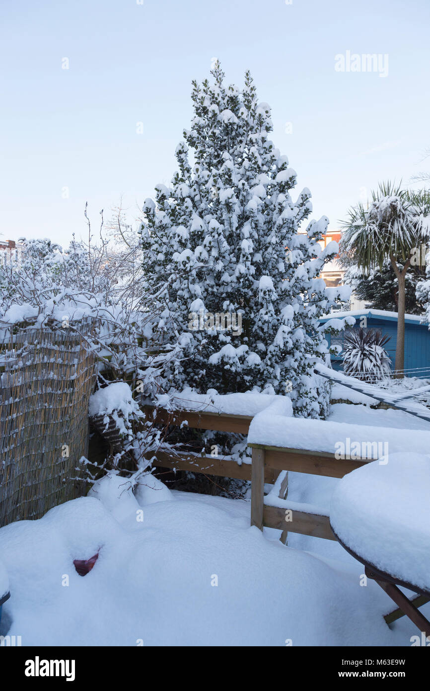 After overnight snowfall hi-res stock photography and images - Alamy