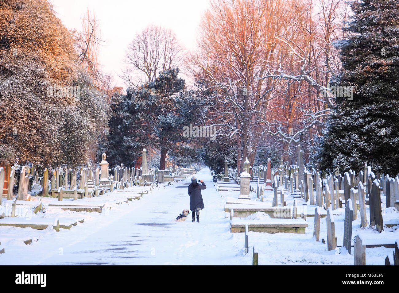 London, UK. 28th Feb, 2018. UK Weather: Central London was blanketed in snow as the cold weather front swept across South East England.A woman takes a photo in Brompton Cemetery © Brian Minkoff / Alamy Live News Stock Photo
