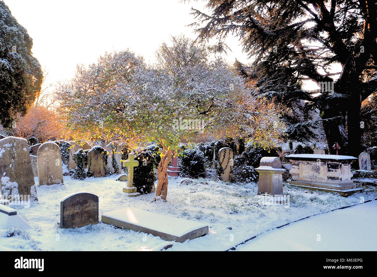 London, UK. 28th Feb, 2018. UK Weather: Central London was blanketed in snow as the cold weather front swept across South East England. Brompton Cemetery © Brian Minkoff / Alamy Live News Stock Photo