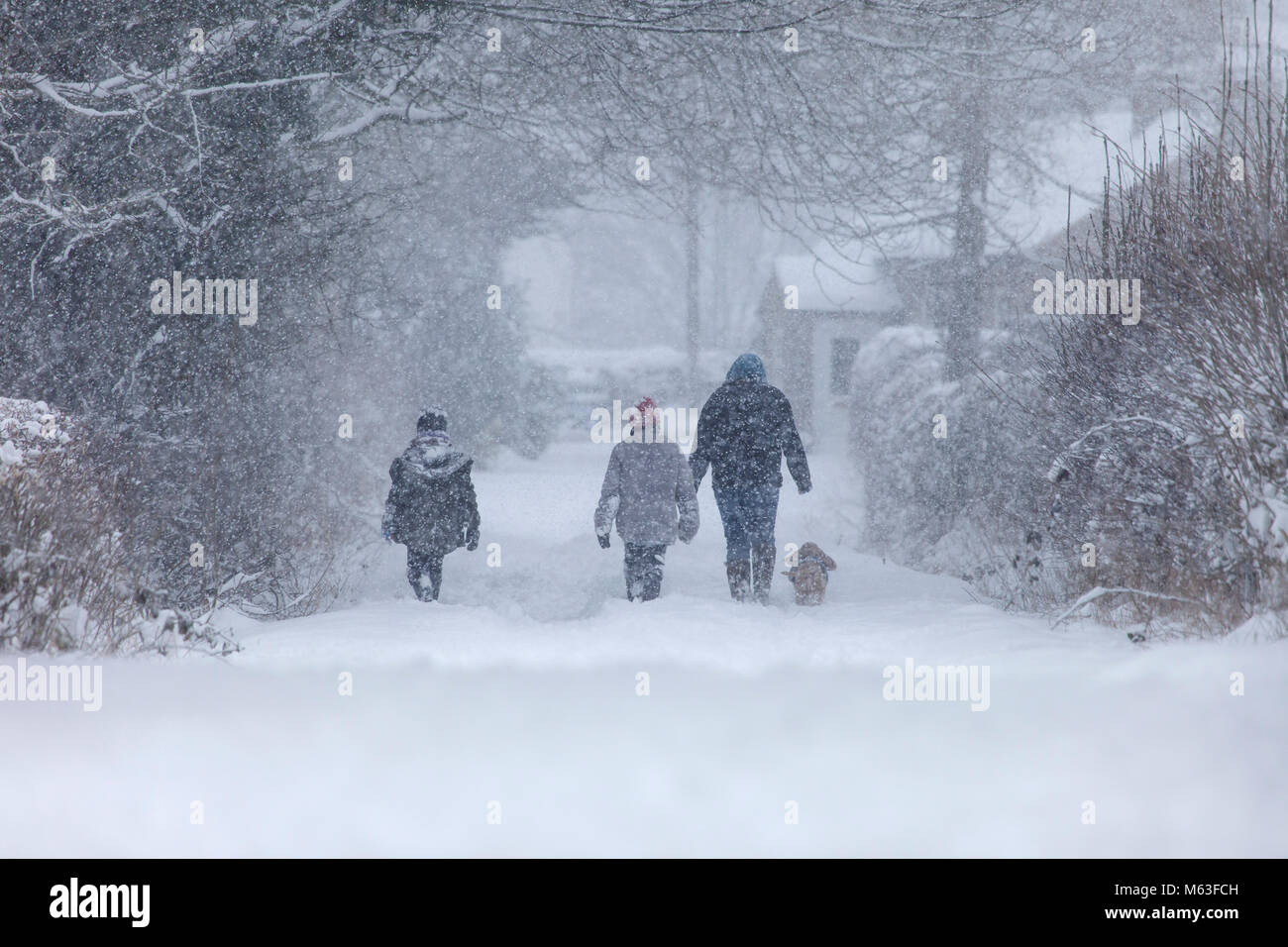 Marwood, Barnard Castle, County Durham, UK.  28th Feb, 2018. UK Weather.  As heavy snow blankets the area around Barnard Castle closing many schools this family managed to get out and enjoy a walk in the snow.  The forecast is for more of the same with a Met Office Amber weather warning for snow in force for Northeast England. David Forster/Alamy Live News Stock Photo