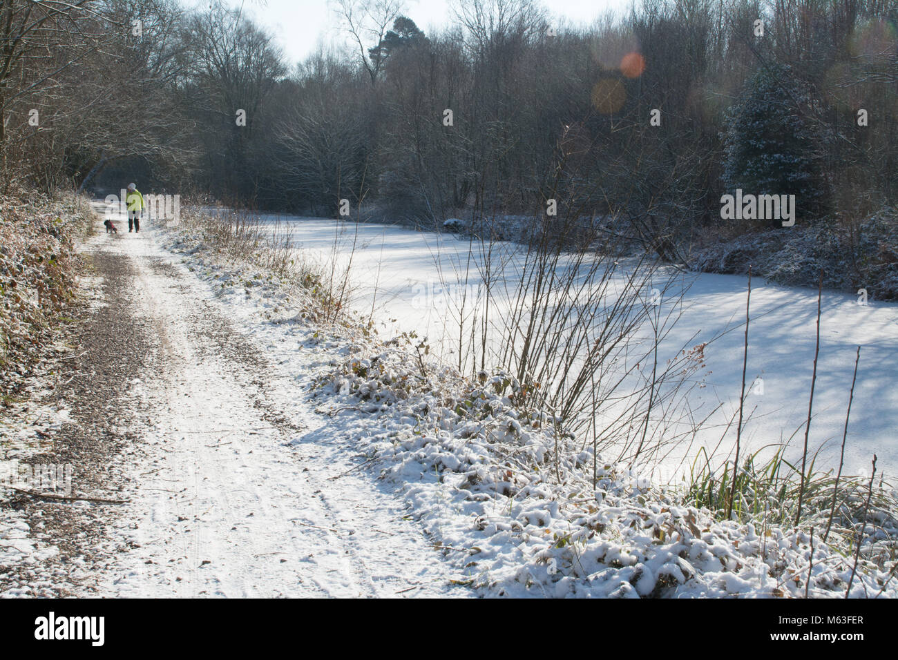 Basingstoke canal frozen hires stock photography and images Alamy