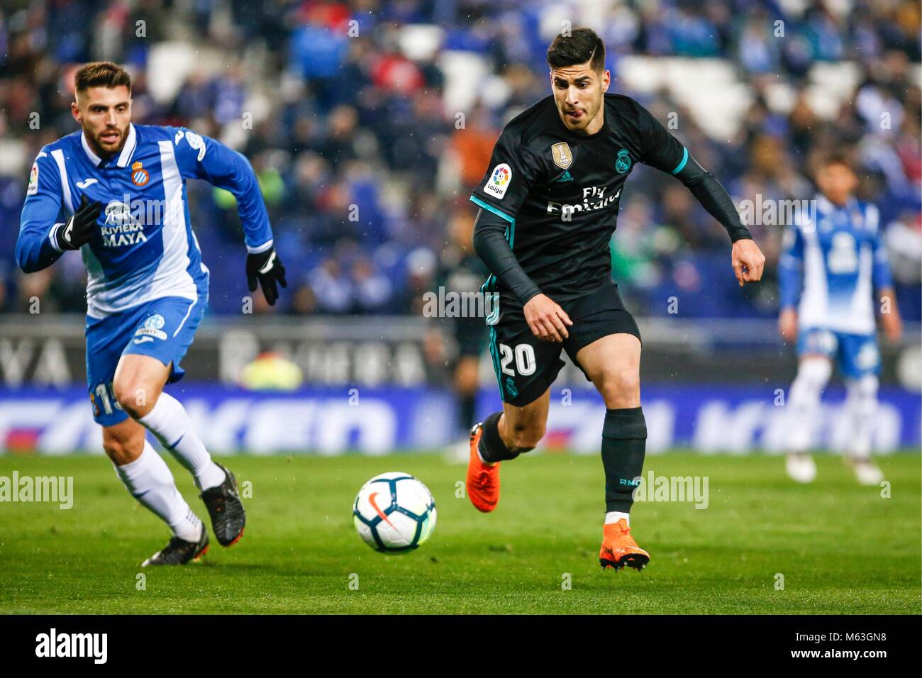 Increíble Eficacia Almeja SPAIN - February,27th: Real Madrid midfielder Marco Asensio (20) during the  match between RCD Espanyol vs Real Madrid, for the round 26 of the Liga  Santander, played at RCD Espanyol Stadium on