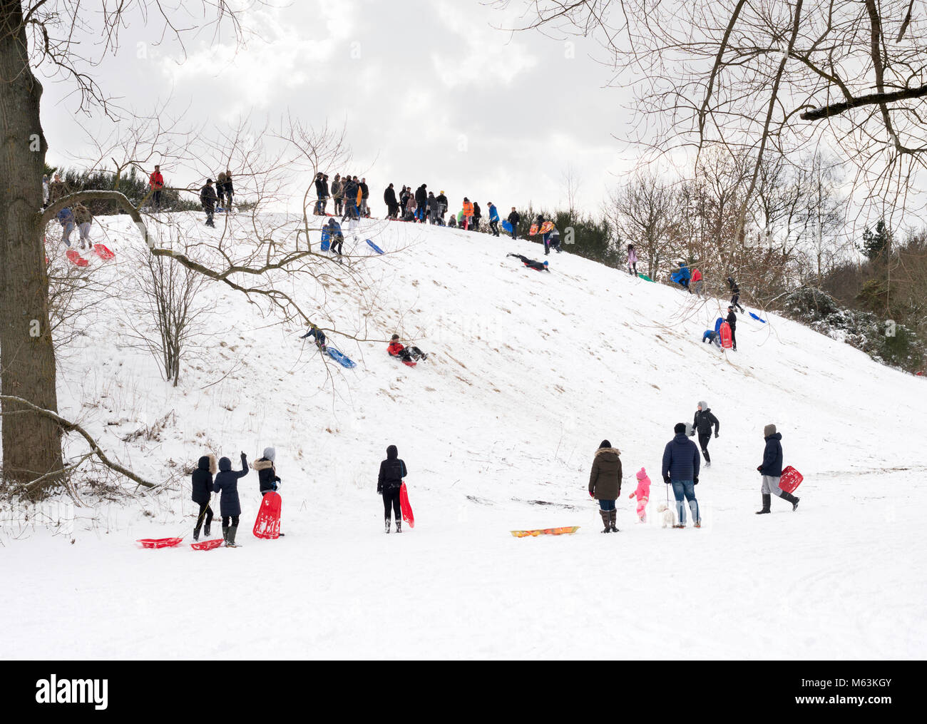 Washington, UK. 28th February 2018. UK Weather: Heavy snow falls have resulted in the closure of schools and children have been able to enjoy sledging down Worm Hill. Washington, Tyne and Wear. England, (c) Washington Imaging/Alamy Live News Stock Photo