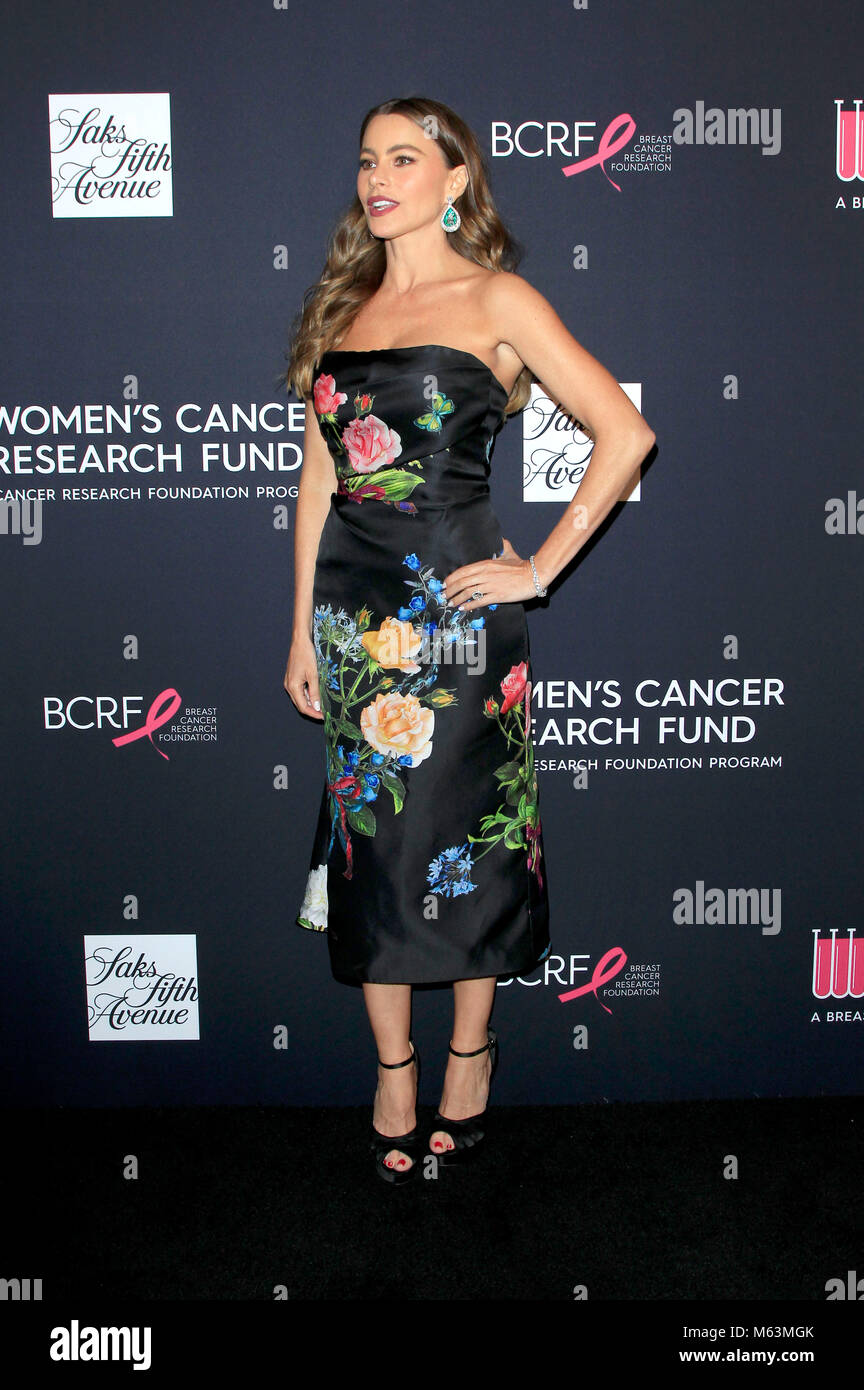 Sofía Vergara attending 'The Women's Cancer Research Fund's an Unforgettable Evening' Benefit Gala at Beverly Wilshire Four Seasons Hotel on February 27, 2018 in Beverly Hills, California. Stock Photo