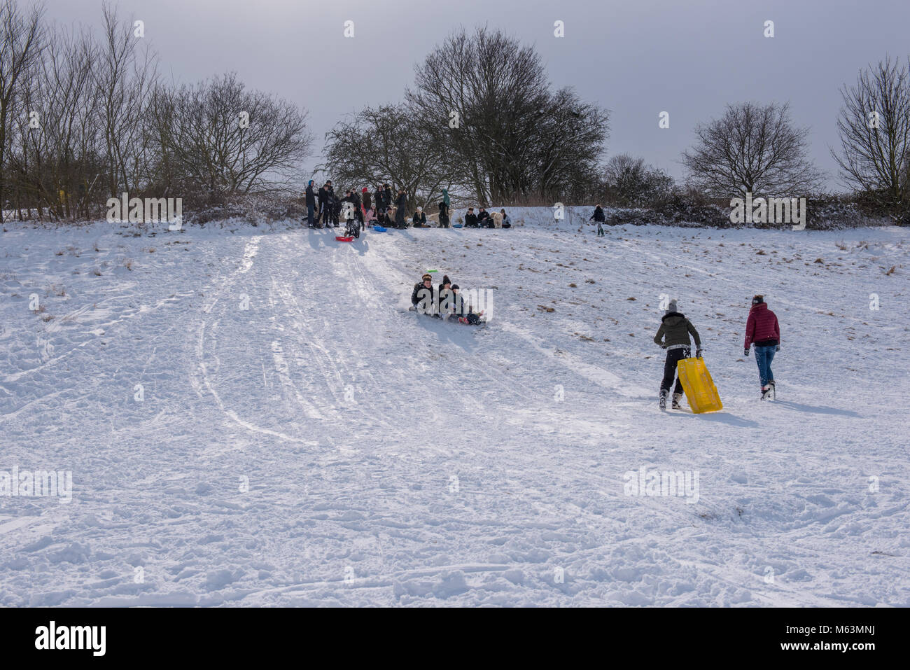 Colchester, Essex, UK. 28 February 2018. With schools closed because of the wintry weather, children enjoy some sledging in Hilly Fields park. Credit: Gary Eason/Alamy Live News Stock Photo