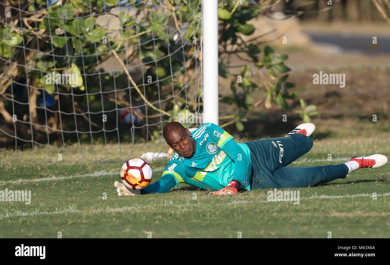 SÃO PAULO, SP - 28.02.2018: TREINO DO PALMEIRAS - Goalkeeper Jailson, from SE Palmeiras, during training, at the Country Club in Barranquilla, Colombia. (Photo: Cesar Greco/Fotoarena) Stock Photo