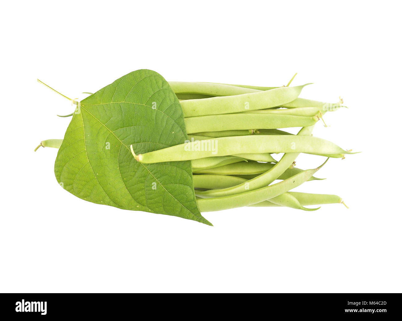 Common bean with leaf isolated Stock Photo Alamy