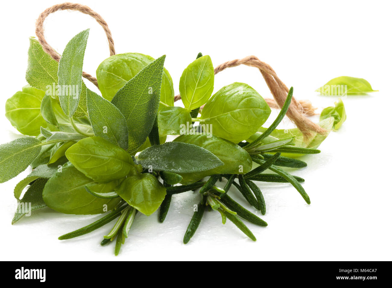 Bunch of basil, rosemary and sage. Isolated on white background. Stock Photo
