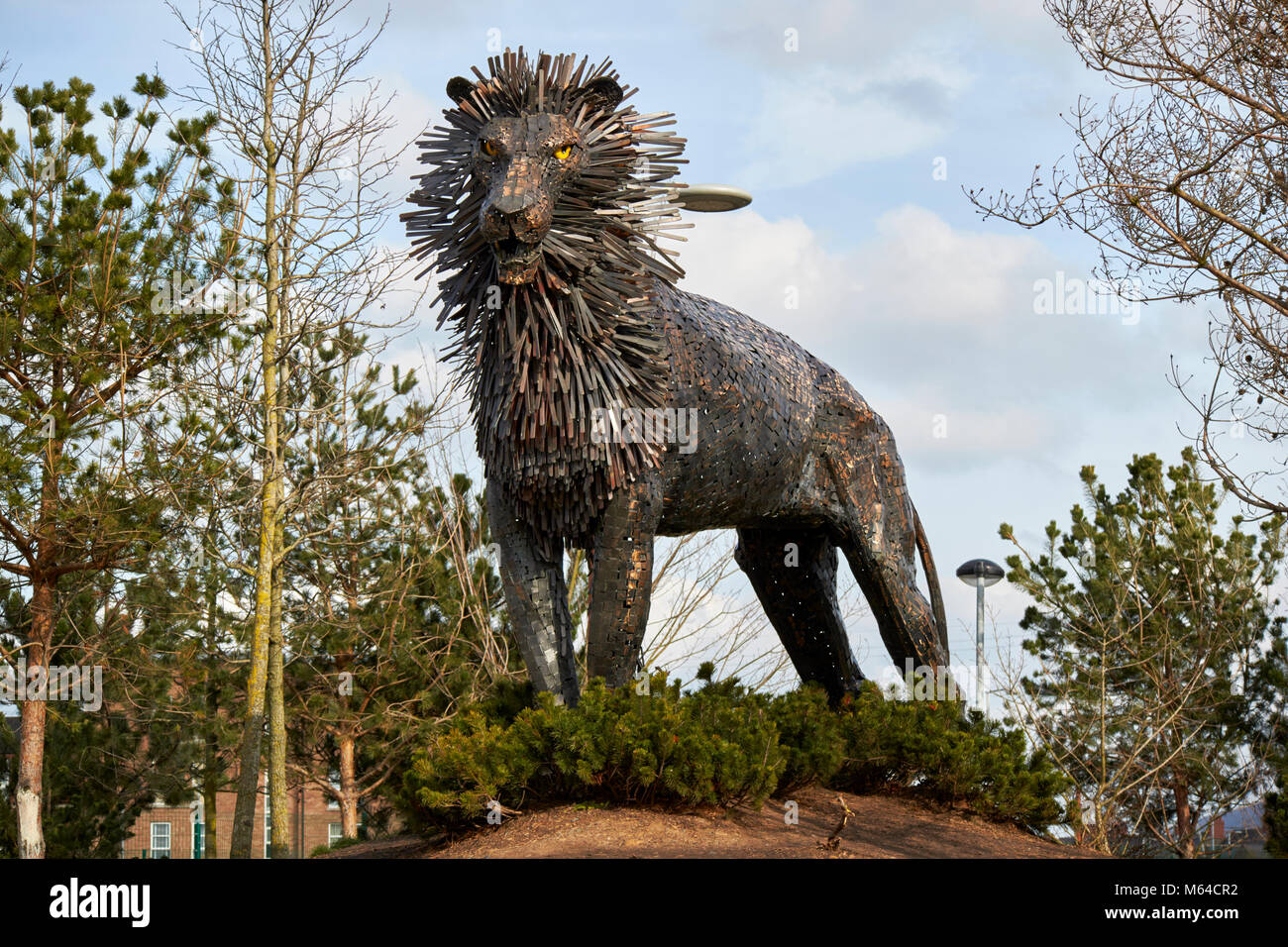 aslan lion sculpture from lion witch and wardrobe in cs lewis square in connswater in east belfast northern ireland Stock Photo