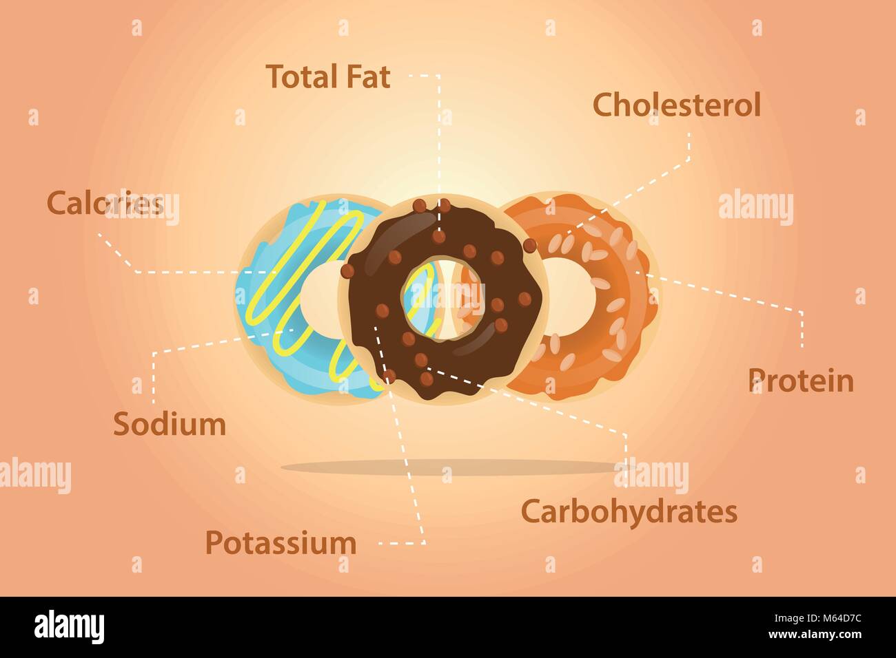 Donuts Nutrition Ingredients Detail Information Flat Stock Vector Image