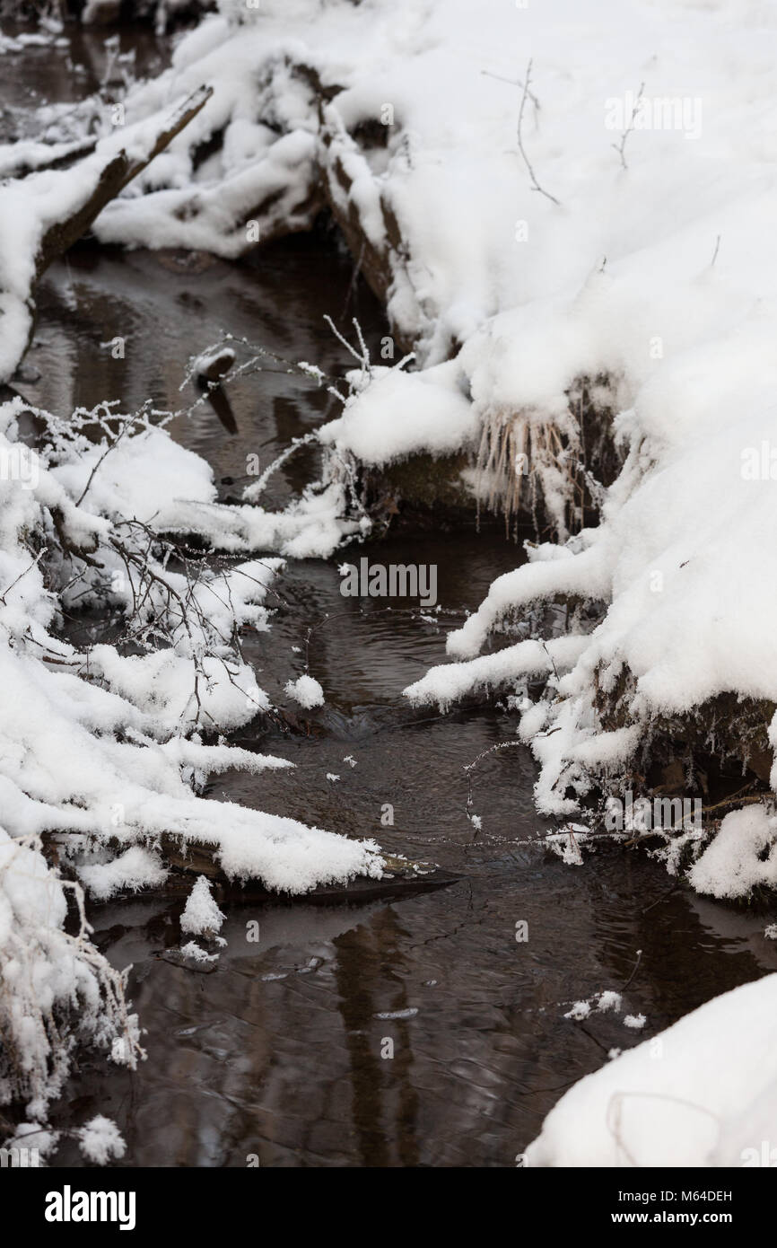 Small forest stream partially hi-res stock photography and images - Alamy