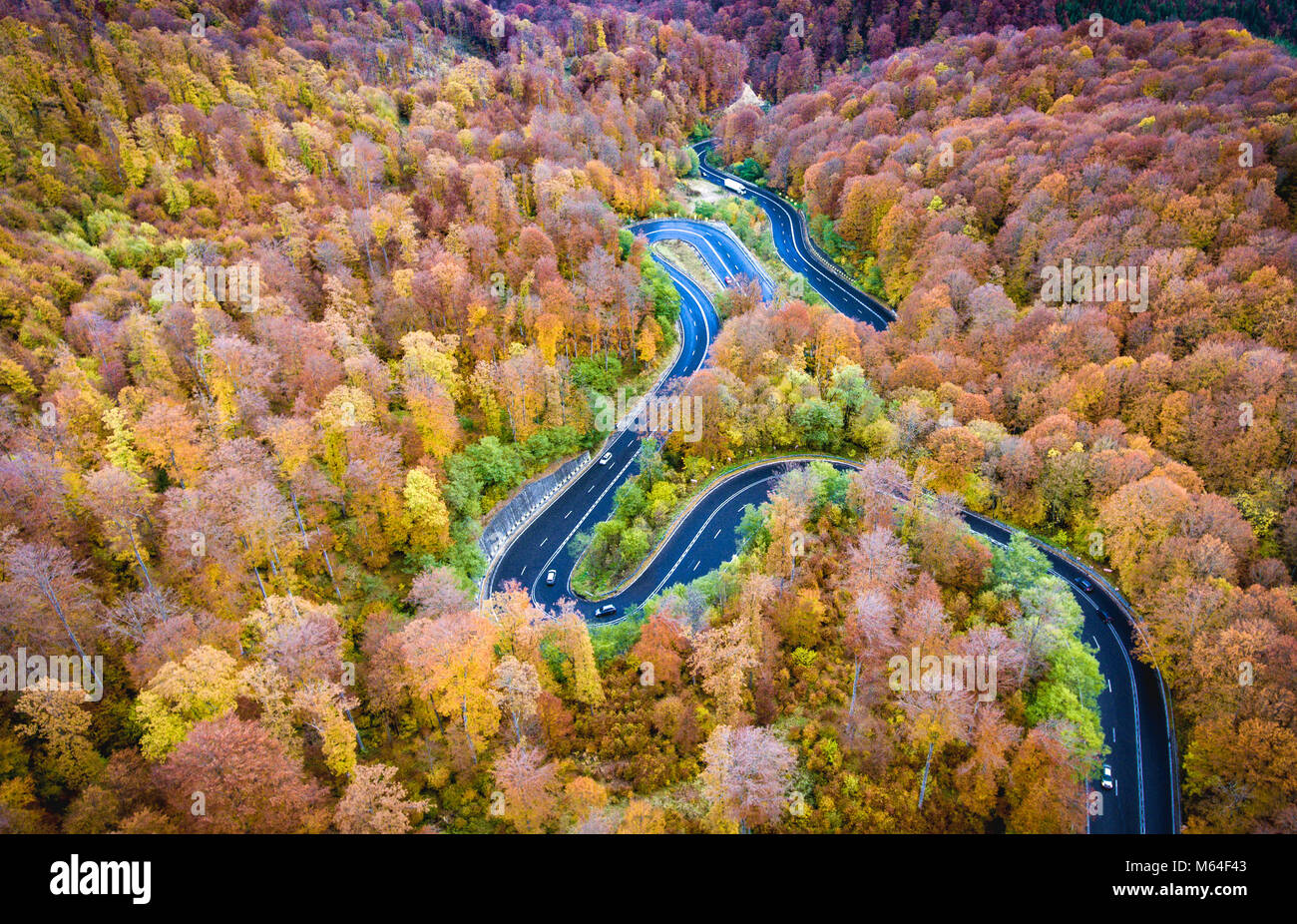 Aerial drone view of a curved winding road through the forest high up ...