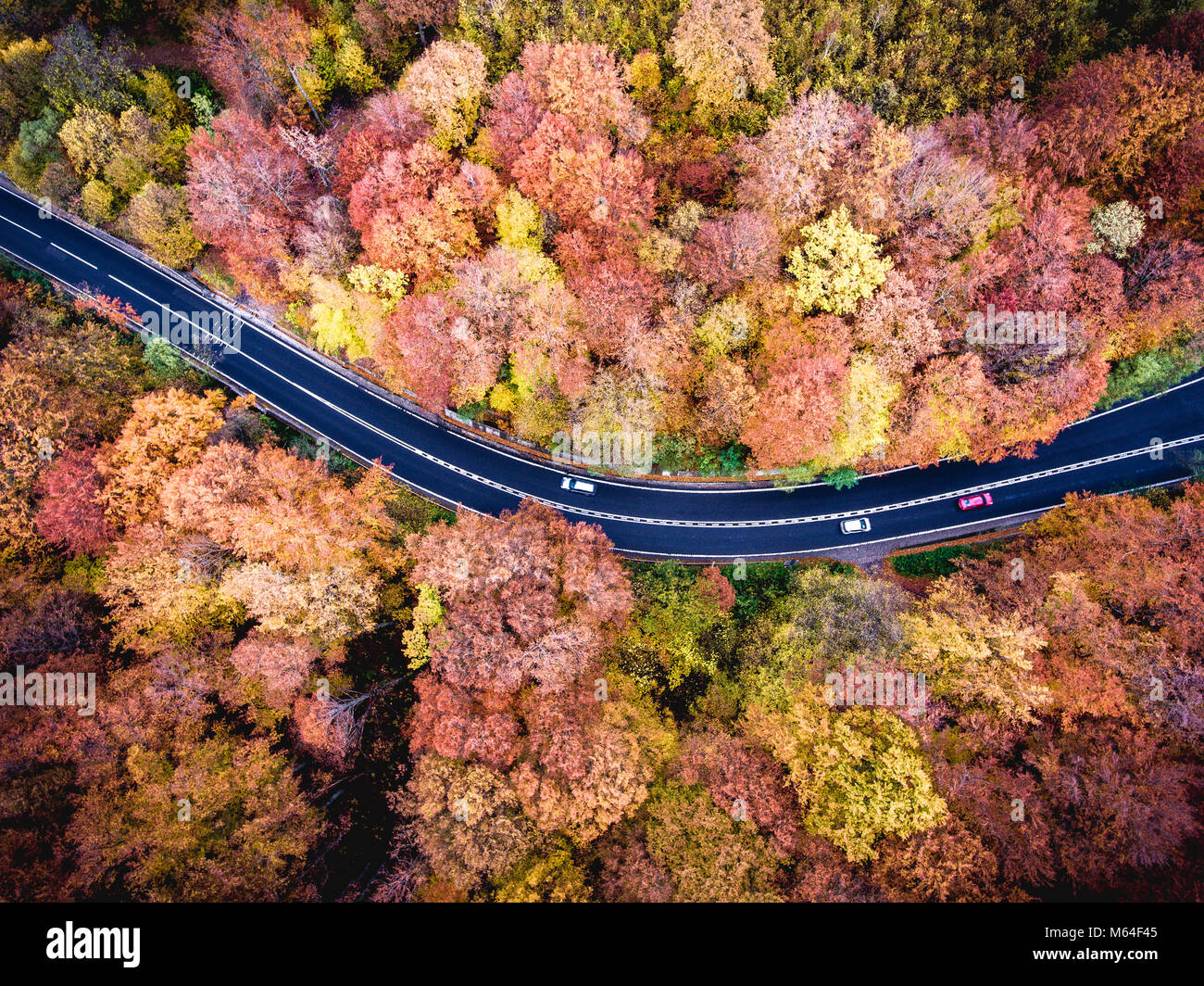 Aerial drone view of a curved winding road through the forest high up ...