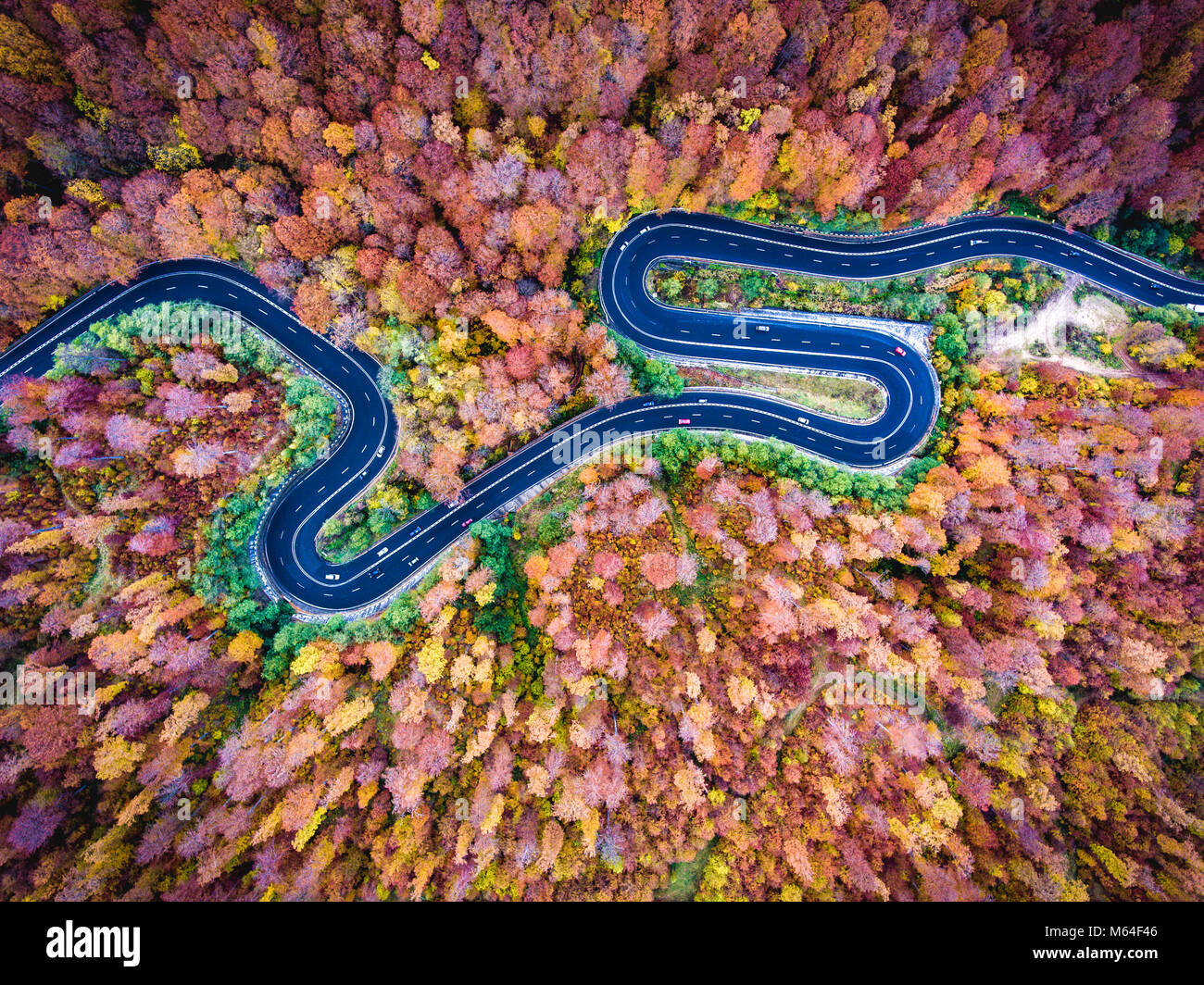Aerial drone view of a curved winding road through the forest high up ...
