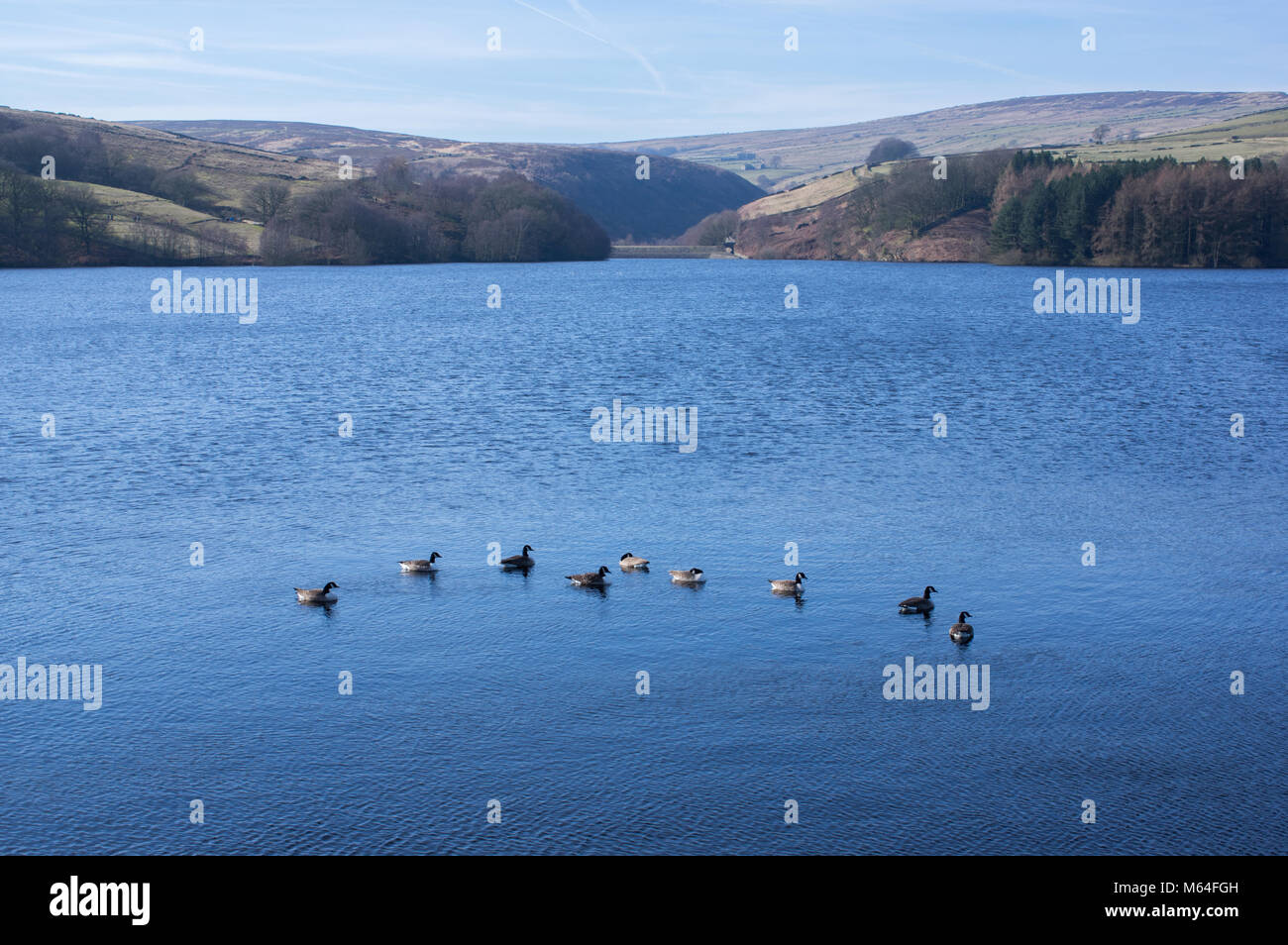 Holmfirth and digley reservoir hires stock photography and images Alamy