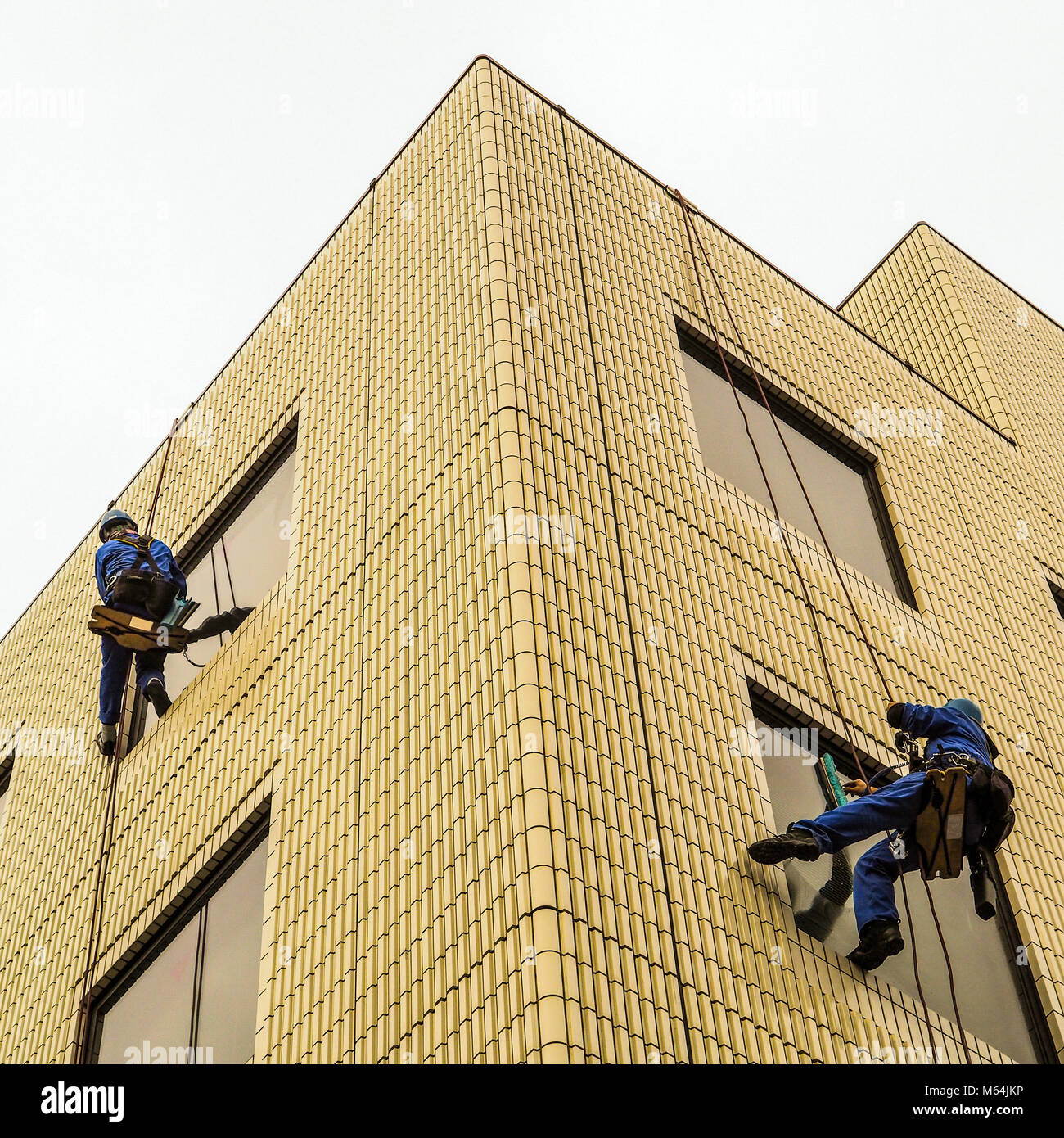 Two window washers at work. Windows washers abseiling down the sides of a building wall on small