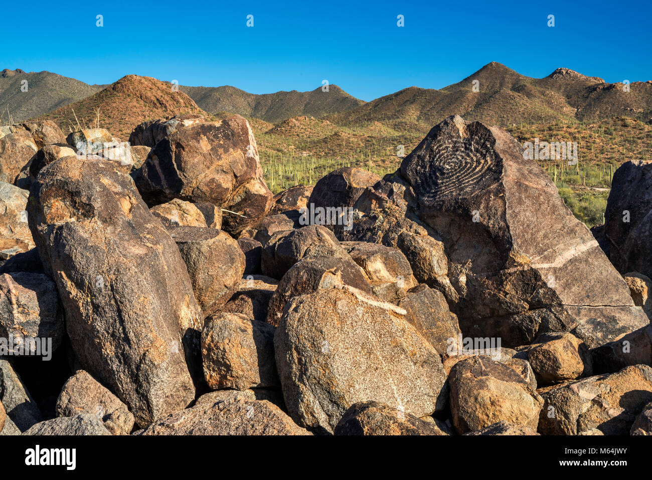 Petroglyphs at Signal Hill, Scenic Bajada Loop Drive, Tucson Mountain ...