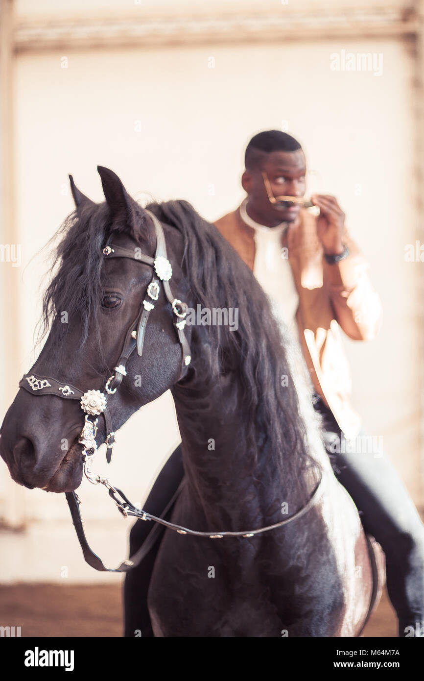 man riding brown horse on countryside Stock Photo - Alamy