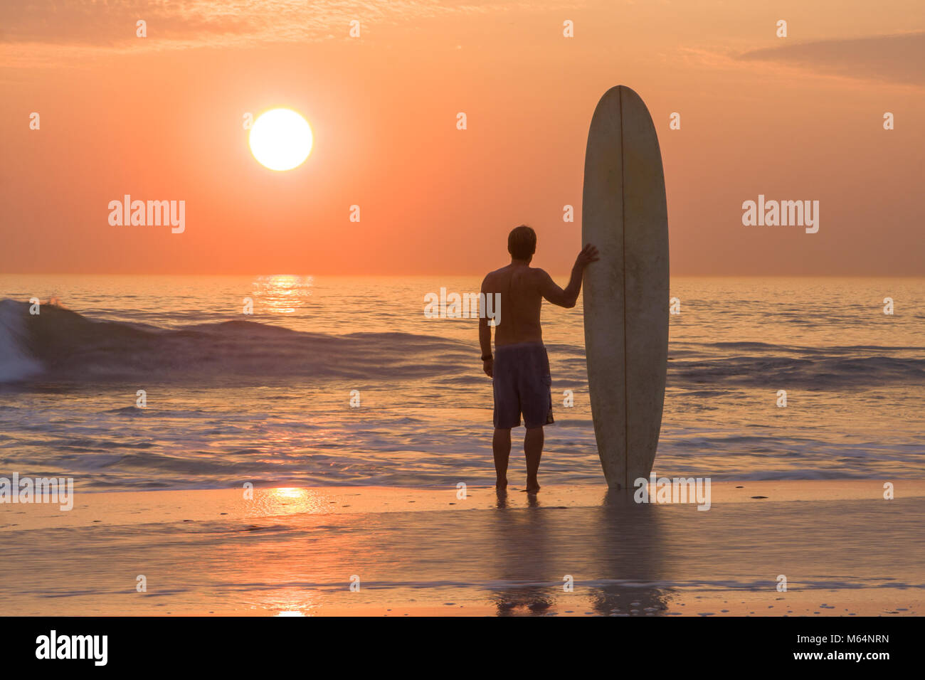 surfer with longboard standing on beach at sunset watching waves Stock Photo