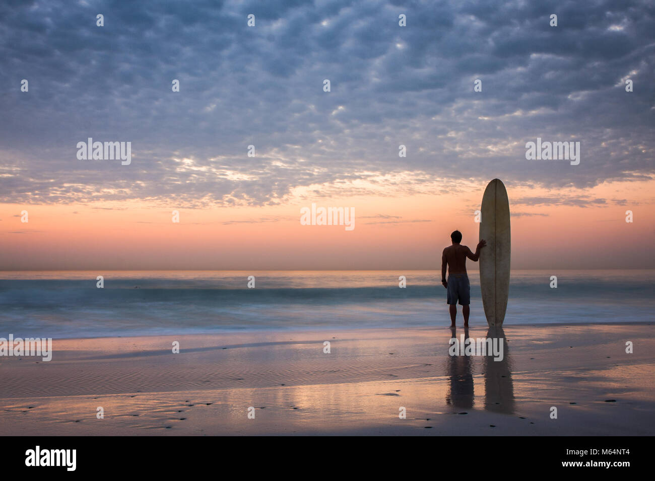 surfer with longboard standing on beach at sunset watching waves Stock Photo