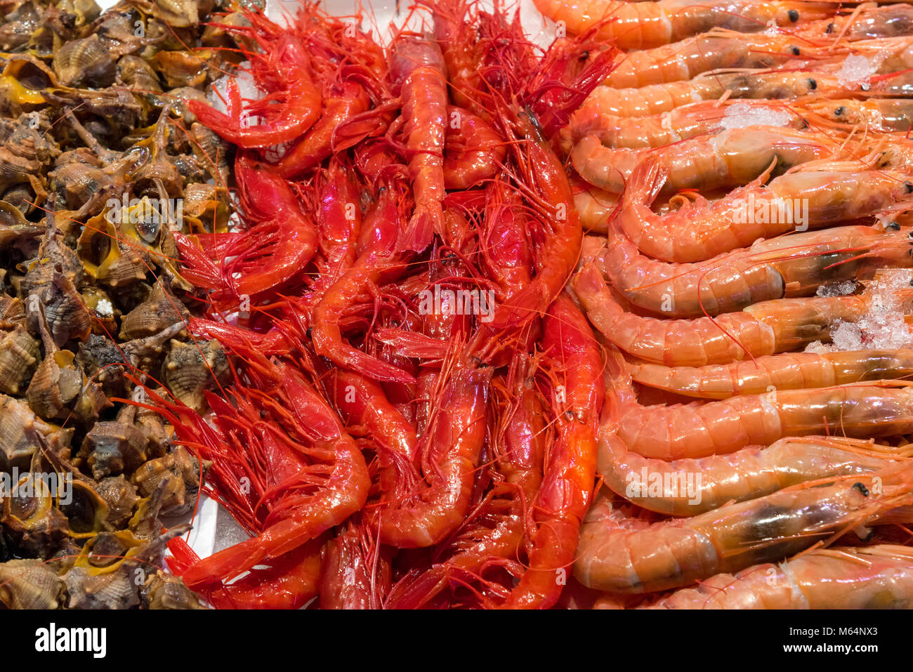 Prawns and mussels for sale at a market in Madrid, Spain Stock Photo