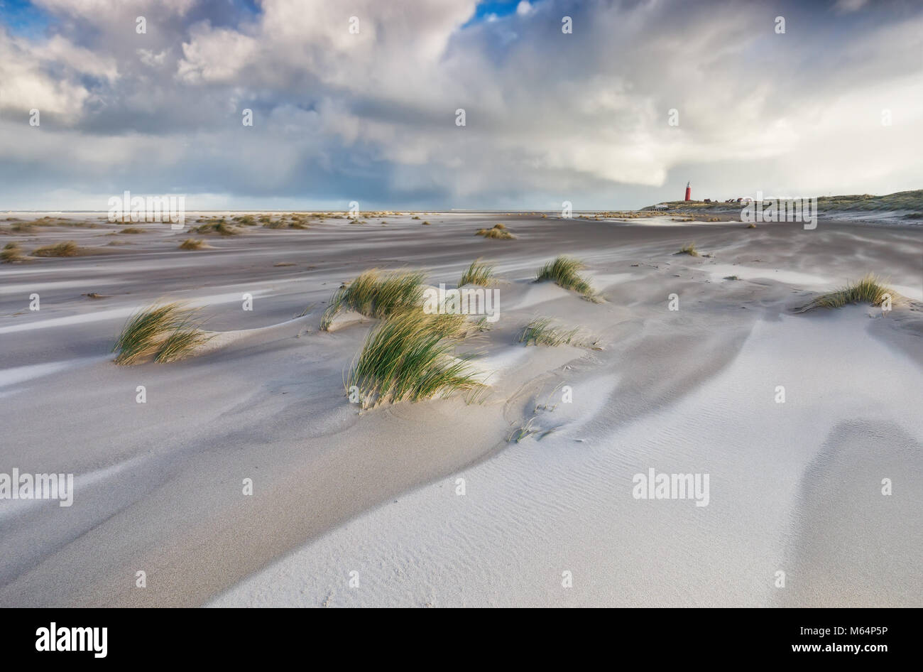 windy stormy day on North sea coast, Texel, Holland Stock Photo - Alamy