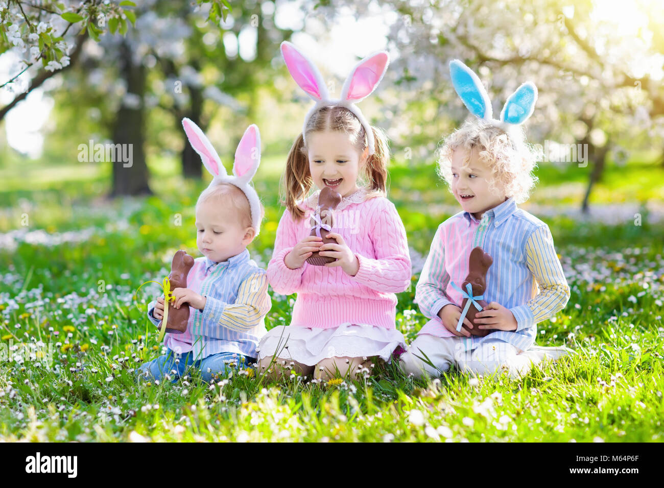 Kids with bunny ears on Easter egg hunt in blooming cherry blossom garden. Little boy and girl eat chocolate rabbit. Spring flowers and eggs basket in Stock Photo