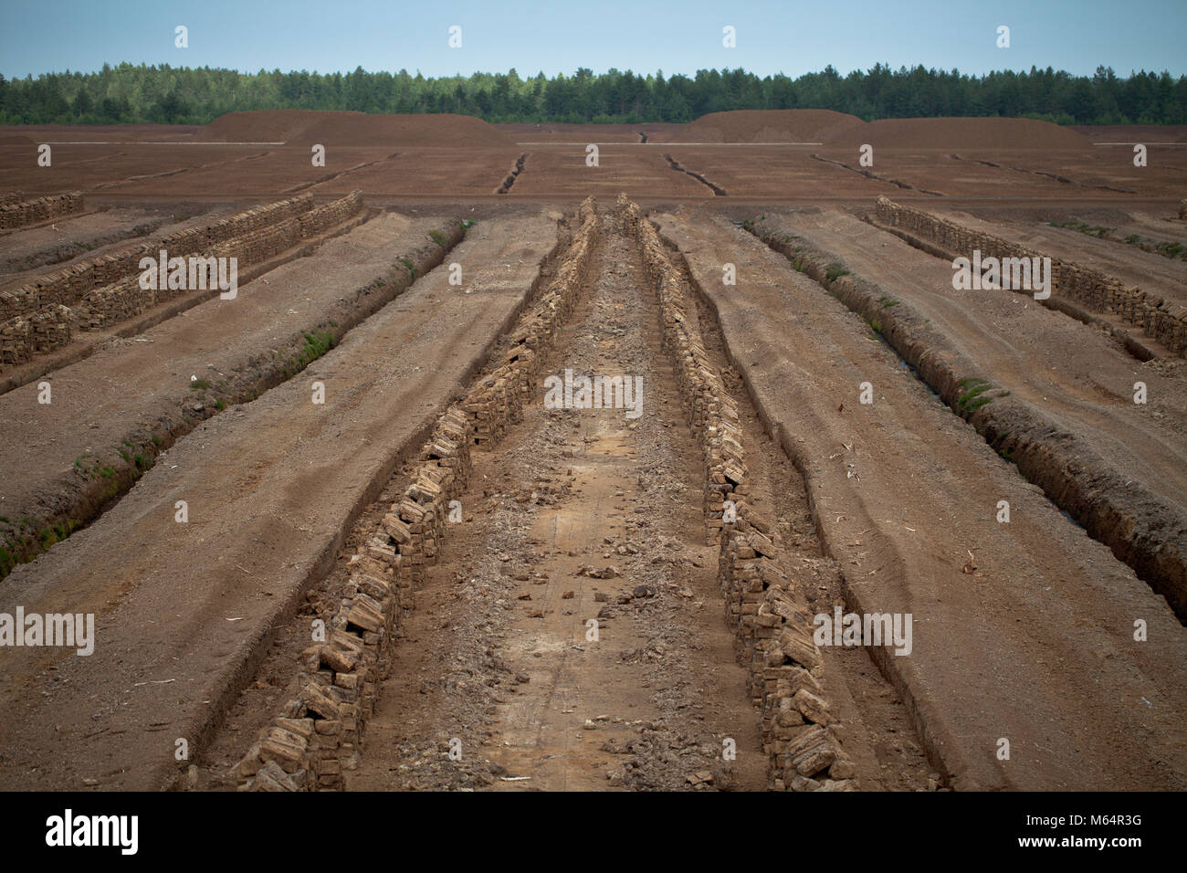 Peat industry photographs. As main peat extraction type in peat bogs we can observe the processing of chunk peat and milled peat. Stock Photo