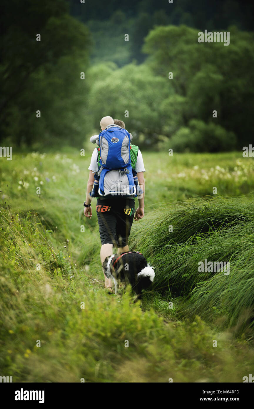 BOHEMIAN FOREST, CZECH REPUBLIC, August 2016: The Man Going through the Grass with Son in Baby Carrier. Dog Accompanies Them. Stock Photo