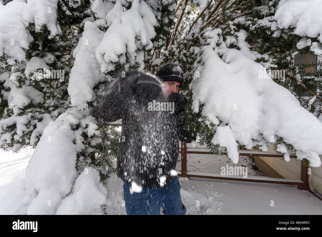 A Young Caucasian Man Stands Underneath A Snow Covered Tree As Snow