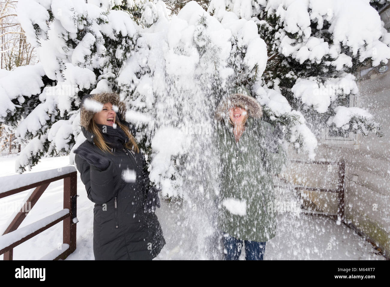 A Young Man Shakes Snow Off Some Branches Onto Two Unsuspecting Female Friends Stock Photo