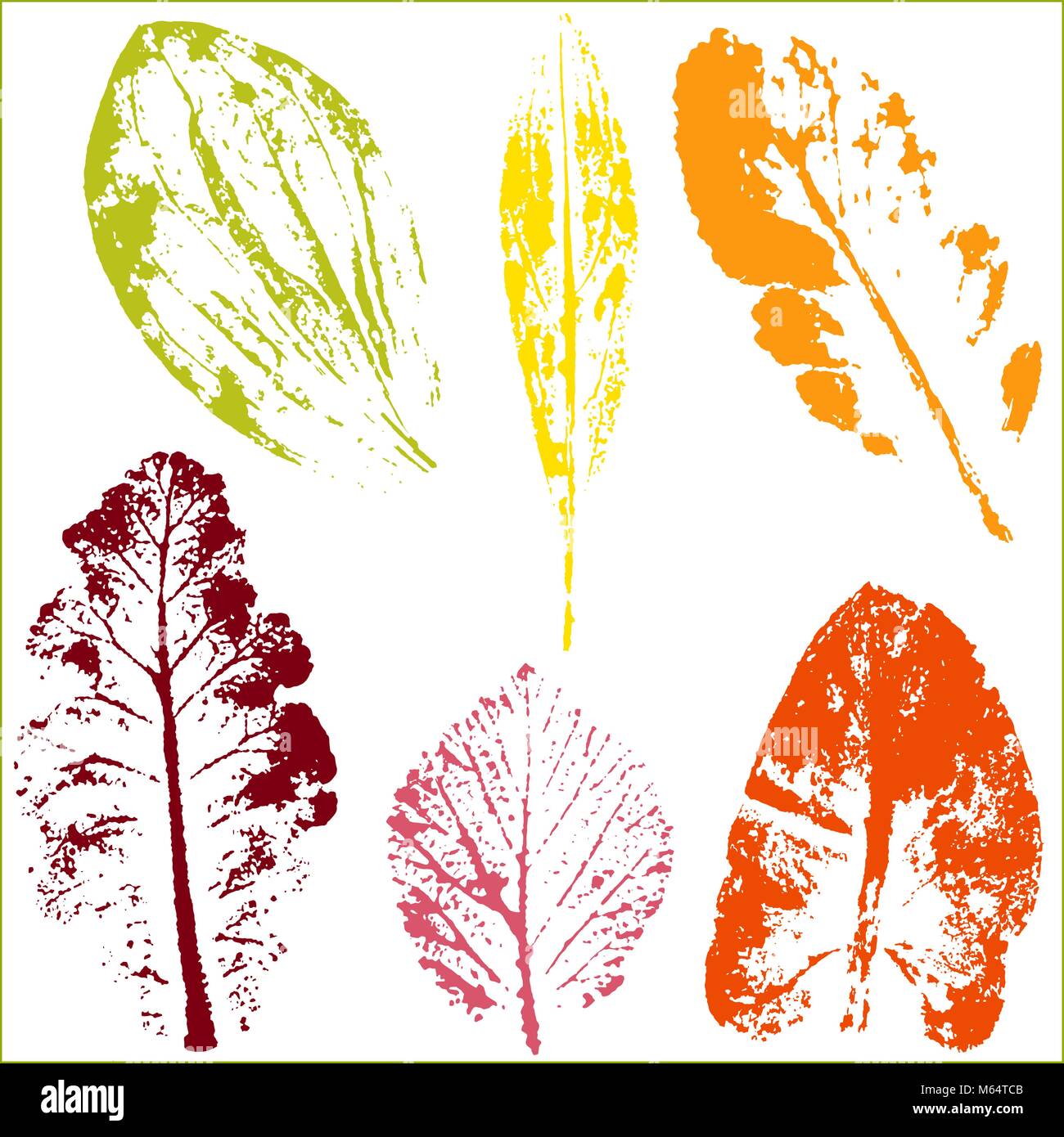 vector-branches-and-leaves-hand-drawn-floral-elements-vintage