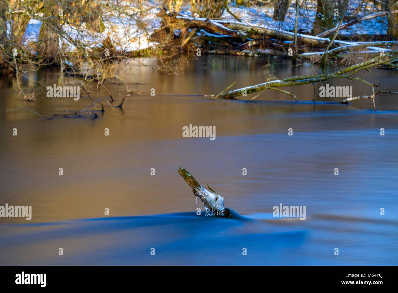 Beautiful long exposure abstract view of tree branch sticking up out of flowing river water  Model Release: No. Property Release: No. Stock Photo