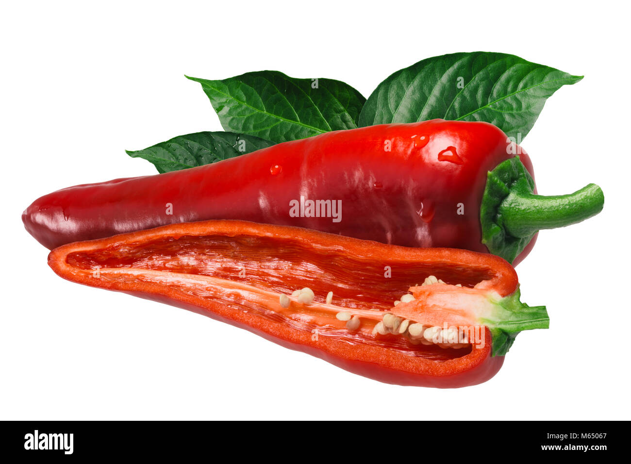 Dulce Italiano sweet chile pepper (Capsicum annuum). Clipping path