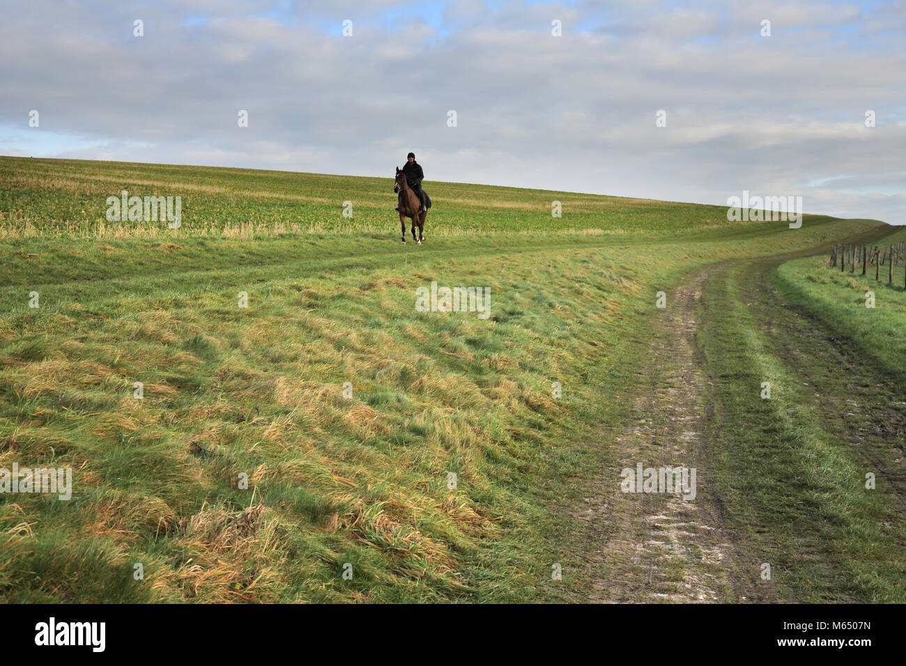 horse and rider on a bridle path on the south downs near bopeep in east