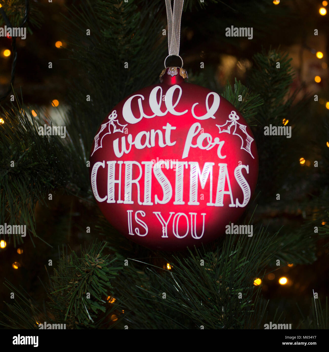 All I Want for Christmas is you. Stock Photo