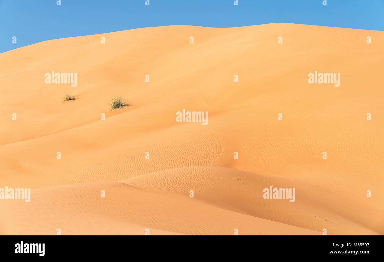 Golden sand dunes in the desert Stock Photo