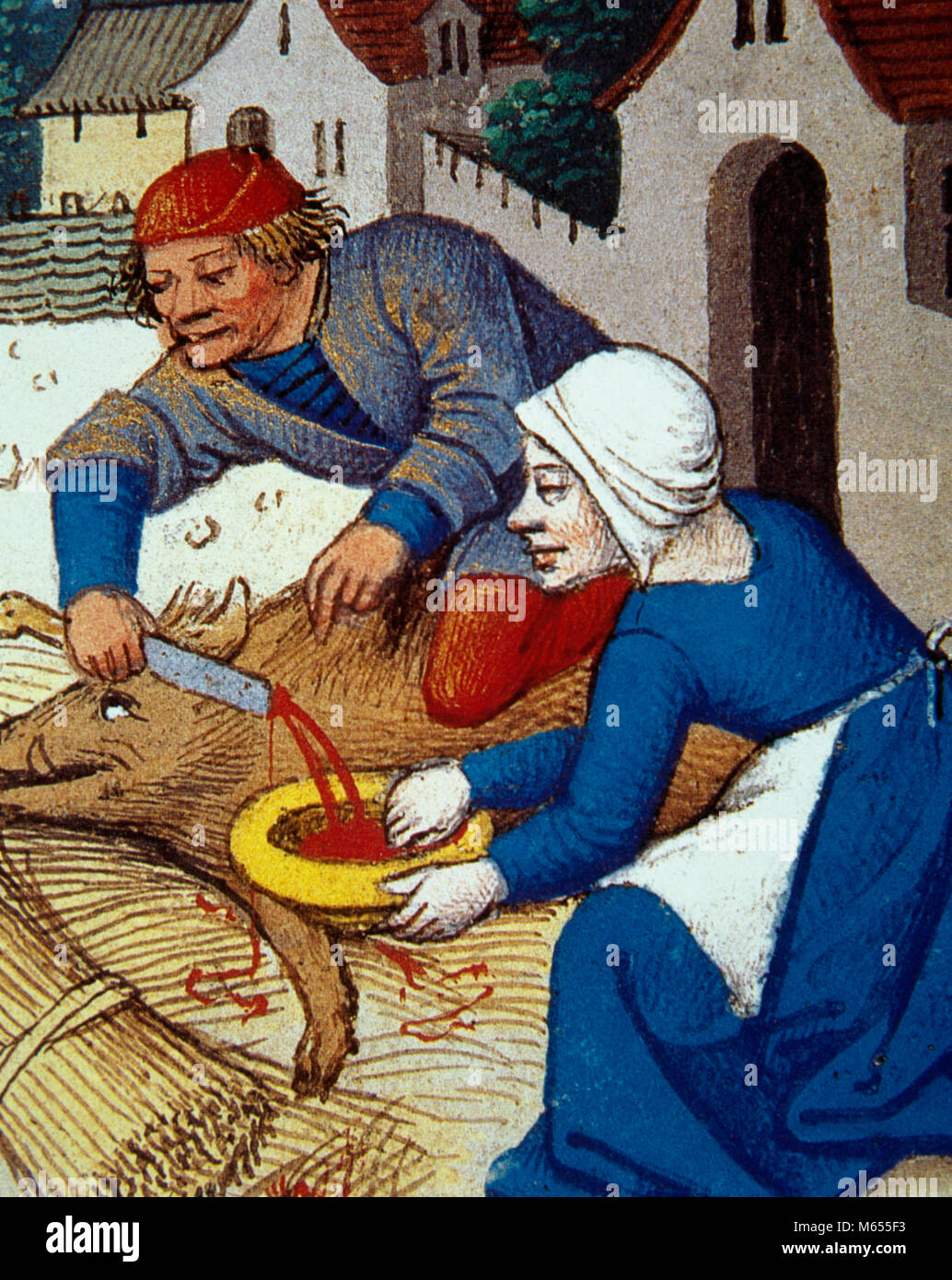 The slaughtering of the pig. Miniature. 'Heures de Seguie', 15th century. Conde Museum. Chateau of Chantilly, France. Stock Photo